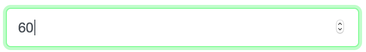 custom field integer
