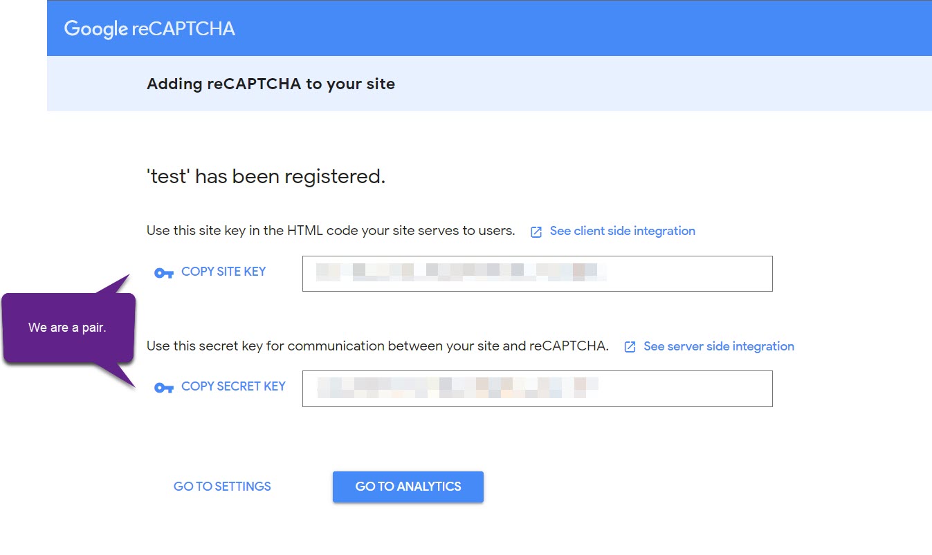 reCAPTCHA keys