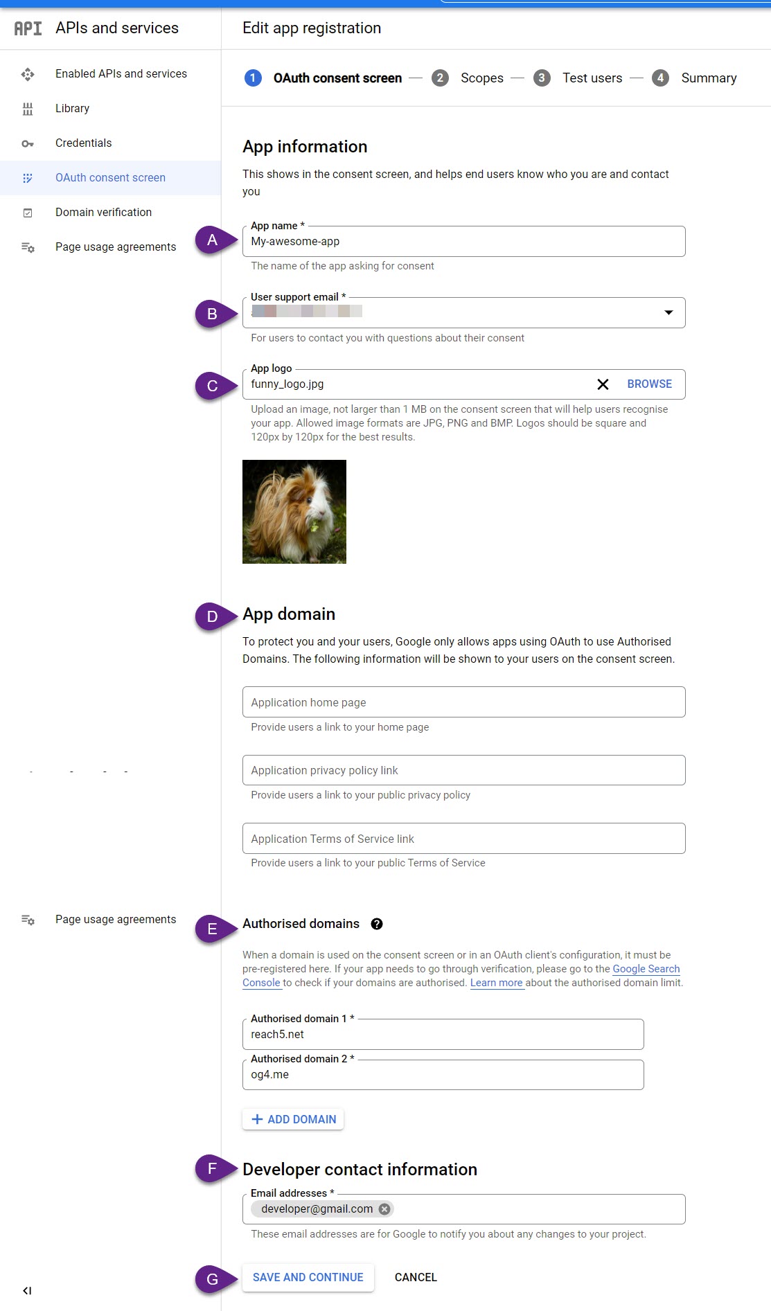 consent screen