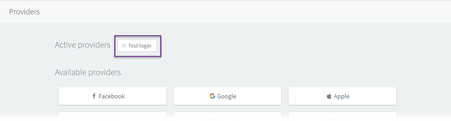 social providers test login console